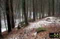 Findling 4 bei Haselberg nahe Wierzen in der Märkischen Schweiz, Brandenburg, (D) (12) 24. Januar 2016.JPG